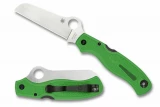 Spyderco Atlantic Salt - Green FRN - LC200N Blade