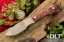 Bark River Knives Mini Canadian Elmax Deep Burgundy & Natural Elder Burl - #2