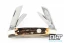 Boker Congress - Stag