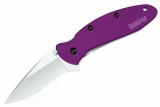 Kershaw 1620PUR Scallion - Purple