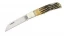 Bear & Son Cutlery 3-5/8" Genuine India Stag Bone, Lockback