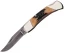 Bear & Son Lockback Folder, 2.75" Damascus Blade, India Stag Bone Handle - 505D
