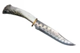Silver Stag 8" Short Bowie Knife