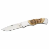 Browning Pursuit Sheep Horn Single Blade Pocket Knife