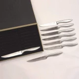 Chicago Cutlery 9Pc. Flatware Steak knife Set