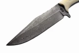Big Stag Hunter Fixed Blade Knife, Damascus