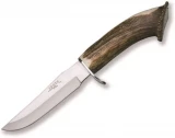 Joker Knives Stainless Steel Blade With Stag Horn Handle