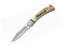Buck Knives WBC Turkey Feather Squire - Elk Handle Pocket Knife