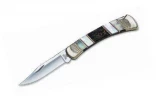 Buck Knives Painted Pony Folding Hunter