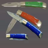 Pocket Knife with Plastic Handle - Dozen