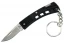 Buck Knives MiniBuck Single Blade Folding Knife, Black with Keychain
