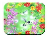 Tuftop Tempered Glass Kitchen Board, Artist Collection - Hummingbirds
