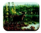 Tuftop Tempered Glass Kitchen Cutting Board, Wildlife Collection - Moo