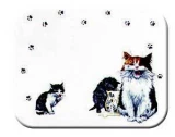 Tuftop Tempered Glass Kitchen Board, Artist Collection - Cats Whiskers