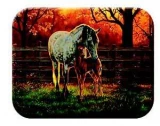 Tuftop Tempered Glass Kitchen Board, Artist Collection - Mare & Foal M