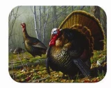 Tuftop Tempered Glass Kitchen Board, Wildlife Collection - Turkeys Med