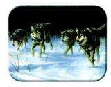 Tuftop Tempered Glass Kitchen Board, Wildlife Collection - Wolves Medi