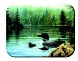 Tuftop Tempered Glass Kitchen Board, Wildlife Collection - Loons Mediu