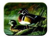 Tuftop Tempered Glass Kitchen Board, Wildlife Collection - Wood Ducks
