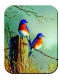 Tuftop Tempered Glass Kitchen Board, Wildlife Collection - Bluebirds M