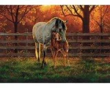 Tuftop Tempered Glass Kitchen Board -Mare and Foal-Small