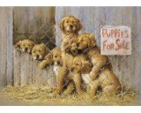 Tuftop Tempered Glass Kitchen Board -Puppies for Sale-Small