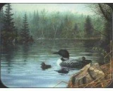 Tuftop Tempered Glass Kitchen Board, Wildlife Collection - Loons Small