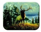 Tuftop Tempered Glass Kitchen Board, Wildlife Collection - Elk Small