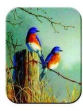Tuftop Tempered Glass Kitchen Board, Wildlife Collection - Bluebirds S
