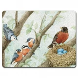 Highland Graphics Songbirds Large Glass Cutting Board
