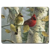 Highland Graphics Feathered Friends Large Glass Cutting Board