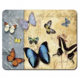 Highland Graphics Flutter By Small Glass Cutting Board