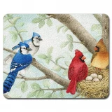 Highland Graphics Songbirds Small Glass Cutting Board