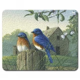 Highland Graphics Feathered Friends Small Glass Cutting Board