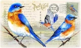 American Expeditions Bluebird Postcard Cutting Board