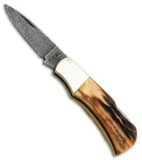 Bear & Son Cutlery Mini Executive Lockback Knife Stag (1.5" Damascus) 540D