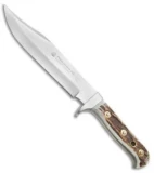 Puma Phoenix Bowie Fixed Blade Knife Stag  (8" Satin) 116376