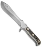 Puma White Hunter Fixed Blade Knife Stag Horn (6.1" Satin) 116375