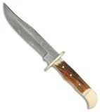 Tallen Stag Chaser Fixed Blade Knife Brown (5.875" Damascus) DM1000