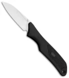 Buck ErgoHunter Small Game Fixed Blade Knife (2.5" Satin)