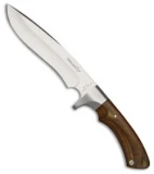 BlackFox Hunting Recurve Fixed Blade Knife Pakkawood (7.25" Satin)
