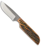 Anza WK6-AJB Fixed Blade Knife Amber Jigged Bone (2.75" Satin)