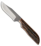 Anza JW-2AJB Fixed Blade Knife Amber Jigged Bone (3.00" Satin)