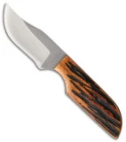 Anza TW-AJB Fixed Blade Knife Amber Jigged Bone (2.375" Satin)