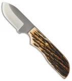 Anza Knives S-AJB Fixed Blade Knife Amber Jigged Bone (2.8" Satin)