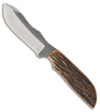 Anza Knives MC-4ABJ Fixed Blade Knife Amber Jigged Bone (4.00" Satin)