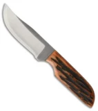 Anza Knives LBK-AJB Fixed Blade Knife Amber Jigged Bone (2.625 Satin)