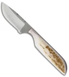 Anza Knives 81-FE Fixed Blade Knife Full Elk (2.5" Satin)
