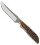 Anza Knives 711-AJB Fixed Blade Knife Amber Bone (4.125" Satin)