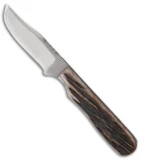 Anza Knives 23-AJB Fixed Blade Burnt Amber Bone (2.75" Satin)